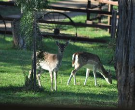 Panorama Garden Estate - Accommodation Nelson Bay 7