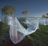 Toppers Mountain Wines - Accommodation Nelson Bay