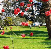 The Yass Golf Club - Accommodation Nelson Bay