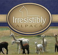 Marchmont Park Alpacas - Accommodation Nelson Bay