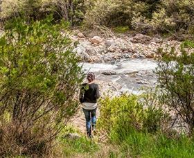 Old Mountain Road Walking Track - Accommodation Nelson Bay 1