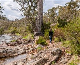 Old Mountain Road Walking Track - Accommodation Nelson Bay 2