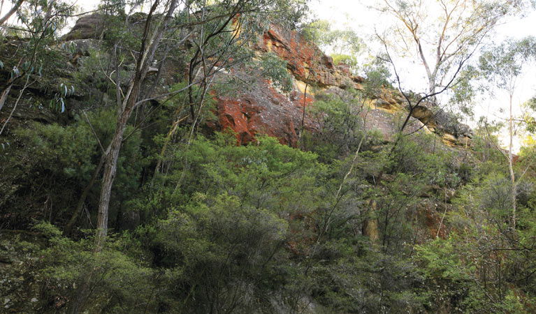 Hampton NSW Accommodation Nelson Bay