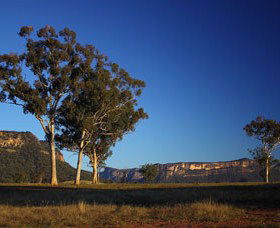 Capertee Valley Bird Trail - Accommodation Nelson Bay 0