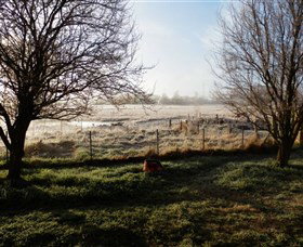 Jannei Artisan Cheese Makers - Accommodation Nelson Bay 2