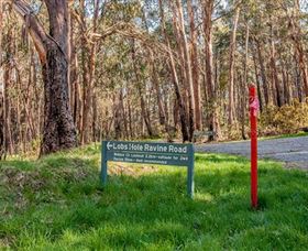 Lobs Hole Ravine 4WD Trail - Accommodation Nelson Bay 0