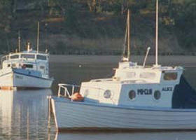 Western Port - Accommodation Nelson Bay 0