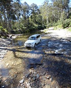 Aberfeldy Four Wheel Drive Track - Accommodation Nelson Bay 0