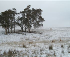 Crookwell Wind Farm - Accommodation Nelson Bay 2