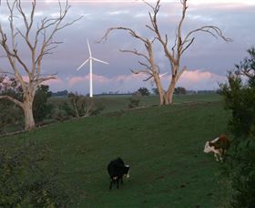 Crookwell Wind Farm - Accommodation Nelson Bay 1