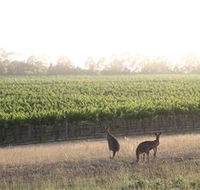 Small Forest Wine - Accommodation Nelson Bay
