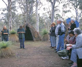 Dryandra Woodland - Accommodation Nelson Bay 2