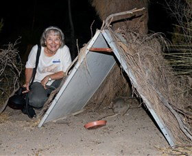 Barna Mia Native Animal Sanctuary - Accommodation Nelson Bay 3