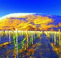 Surveyors Hill Winery - Accommodation Nelson Bay