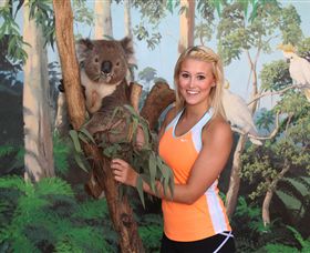 Maru Koala And Animal Park - Accommodation Nelson Bay 0
