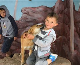 Maru Koala And Animal Park - Accommodation Nelson Bay 3