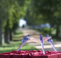 Lillico Glass Studio - Accommodation Nelson Bay