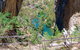 Carlotta Arch Walking Track - thumb 0