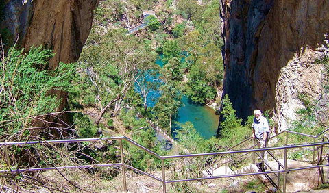Carlotta Arch Walking Track - Accommodation Nelson Bay 0