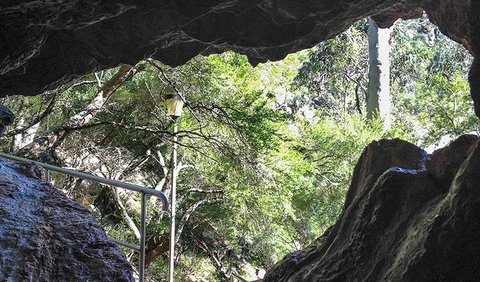 Carlotta Arch Walking Track - Accommodation Nelson Bay 1