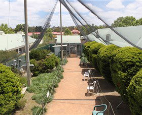 Canberra Walk In Aviary - Accommodation Nelson Bay 2