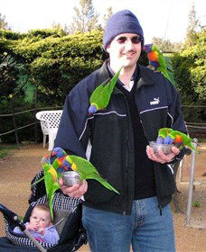 Canberra Walk In Aviary - Accommodation Nelson Bay 0