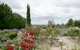 Crystal Brook Lavender Farm - thumb 0
