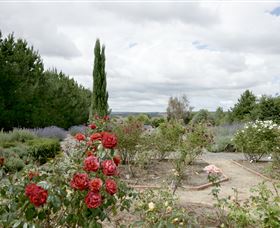 Crystal Brook Lavender Farm - Accommodation Nelson Bay 0