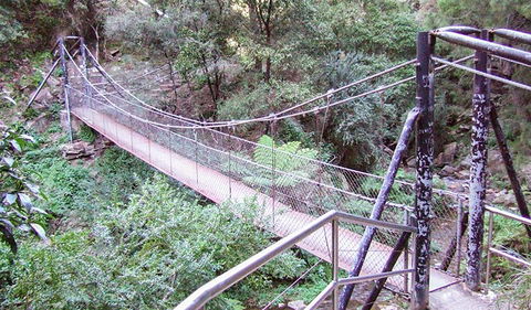 Jenolan River Walking Track - Accommodation Nelson Bay 0