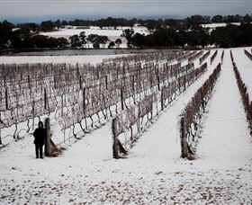 Savina Lane Premum Wines - Accommodation Nelson Bay 2