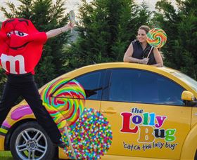 The Lolly Bug - Accommodation Nelson Bay 0