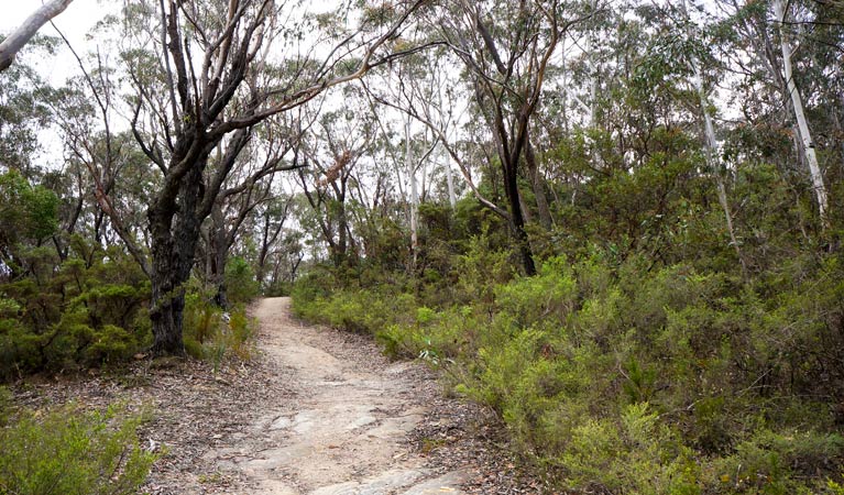 Cullen Bullen NSW Accommodation Nelson Bay