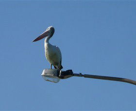 Bailey's Sydney - Tours For People Who Don't Like Tours - Accommodation Nelson Bay 3