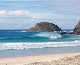 Surfaris Surf Camp - Accommodation Nelson Bay 4