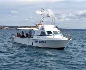 Deep Sea Fishing Charter - Accommodation Nelson Bay 3