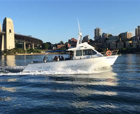Deep Sea Fishing Charter - Accommodation Nelson Bay 4