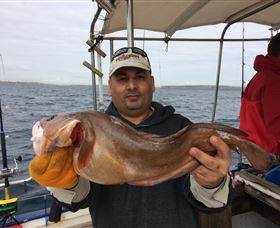 Deep Sea Fishing Charter - Accommodation Nelson Bay 5