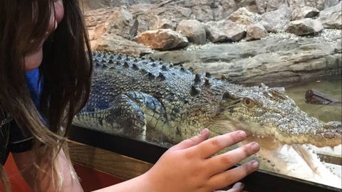Canberra Reptile Zoo - Accommodation Nelson Bay 3