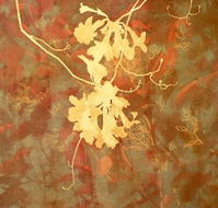 Fellia Melas Gallery - Accommodation Nelson Bay