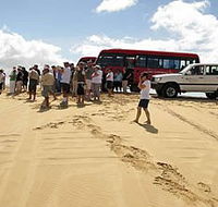 Port Stephens 4WD Tours - Accommodation Nelson Bay