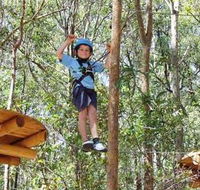 TreeTops Newcastle - Accommodation Nelson Bay