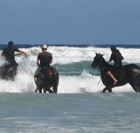 Pegasus Park Equestrian Centre - Accommodation Nelson Bay