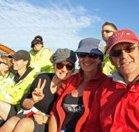 Byron Bay Whale Watching - Accommodation Nelson Bay