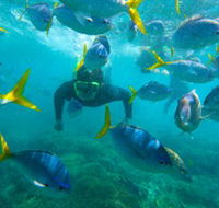 G Adventures - Accommodation Nelson Bay
