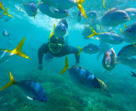 G Adventures - Accommodation Nelson Bay 0