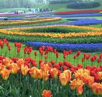 Botanica World Discoveries - Accommodation Nelson Bay