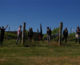 Grape Escape - Accommodation Nelson Bay 3