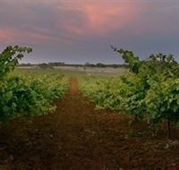 Wine Class - Accommodation Nelson Bay