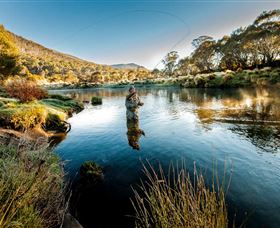 Tumut NSW Accommodation Nelson Bay