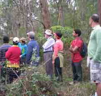 Boronia Tours - Accommodation Nelson Bay